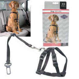 EBI D&D en Route Dog-Secure XS Brustumfang 20-50cm