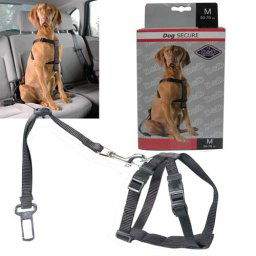 EBI D&D en Route Dog-Secure M Brustumfang 50-70cm