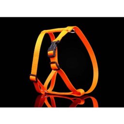 COBBYS PET postroj Nylon NEON 10mm/26-39cm 3 farby