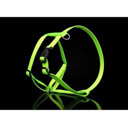 COBBYS PET postroj Nylon NEON 30mm/70-115cm 3 farby