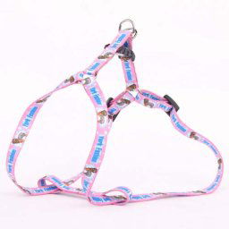 COBBYS PET Postroj Nylon York 10mm/40cm