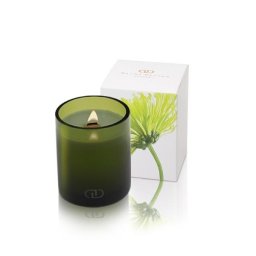DayNa Decker Maja, Sviečka 170ml