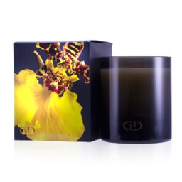 DayNa Decker Kashmir Laini, Sviečka 350ml