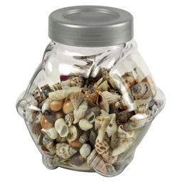 HOBBY Sea Shells decorative glass S/M 1L- dekoratívne sklo