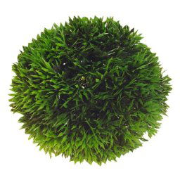 HOBBY Rastlina umelá Plant Ball 13cm