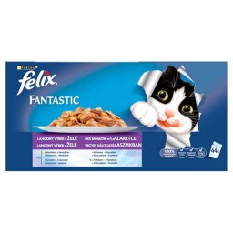 FELIX Fantastic Duo 44x100g výber Mix