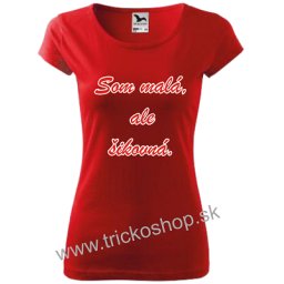 Som malá ale šikovná