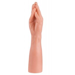 Giant Family Horny Hand Palm