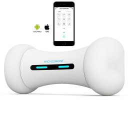 Hračka pre psa Inteligentná kosť s bluetooth ovládaním cez app - Wicked bone