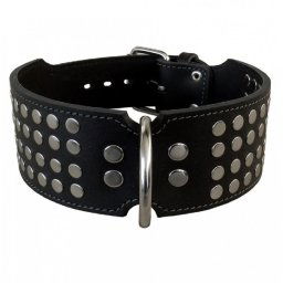 Obojok kožený 8cm + nity - čierny