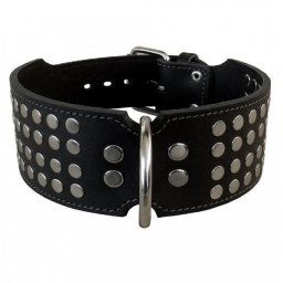 Obojok kožený 6cm + nity - čierny