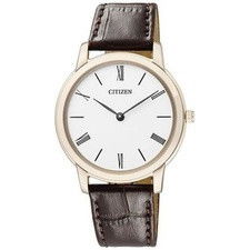 Citizen EG6003-17A