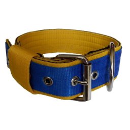 Obojok nylonový 5cm - modrý, žltý