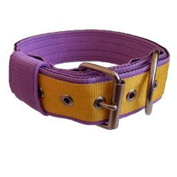 Obojok nylonový 4cm - žltý fialový