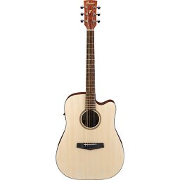 Elektro-akustická gitara PF10CE-OPN Ibanez