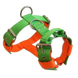 Postroj nylonový 4cm - zelený, oranžový