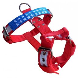 Postroj nylonový 4cm + výšivka - USA