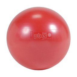 Fitlopta Gymnic Plus 55cm červená