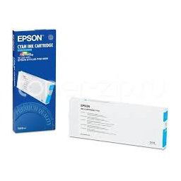 Epson C13T410011