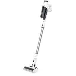Rowenta RH6935WO