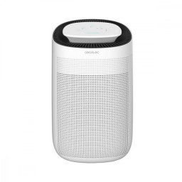Cecotec BigDry 2500