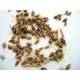 AWA herbs Aníz plod 100g