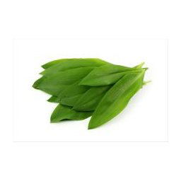 AWA herbs Cesnak medvedí list 100g