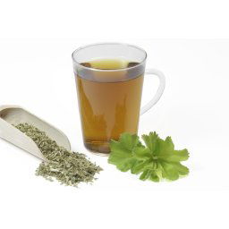 AWA herbs Alchemilka obyčajná vňať 50g