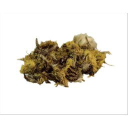 AWA herbs Podbeľ list 100g