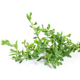 AWA herbs stavikrv truskavec vňať 100g