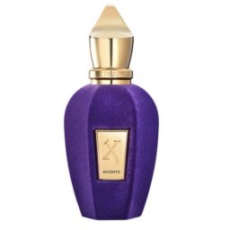 Xerjoff Accento, Parfumovaná voda 100ml, Tester