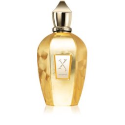 Xerjoff Accento Overdose, Parfumovaná voda 100ml - Tester