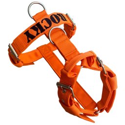 Postroj nylonový 4cm + výšivka - oranžový
