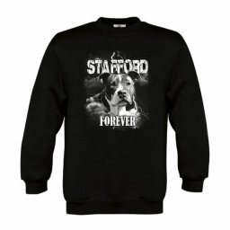 Detská mikina - Stafford Forever