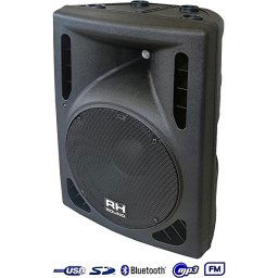 Aktívny reprobox PP-0310AUS-BT RH Sound