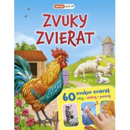Z()