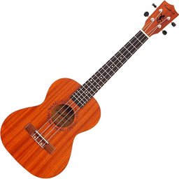 Tenorové ukulele SU026BG Natural Pasadena