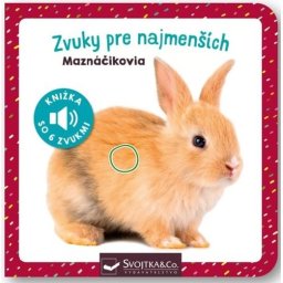 Z()