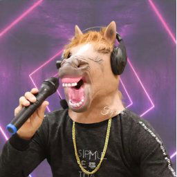 Karaoke kôň - silikónová maska na tvár pre deti aj dospelých