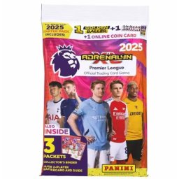 Panini Premier League 20242025 Starter Set 2231634