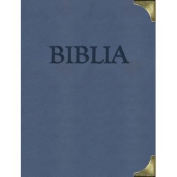 B(Kolektív)