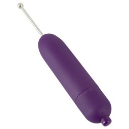 You2Toys - Spot-on klitorlny vibrtor (fialov)