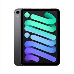 iPad mini Wi-Fi + Cellular 256GB Kozmický sivý (2021) MK8F3FDA