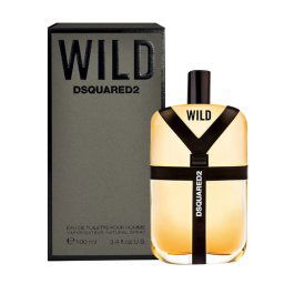 Dsquared2 Wild, Toaletná voda 100ml - tester