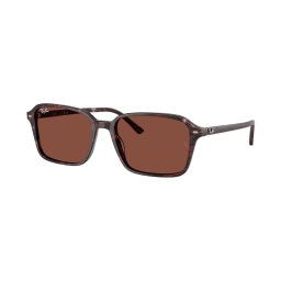 Slnečné okuliare Ray-Ban Raimond RB2231 1416C5
