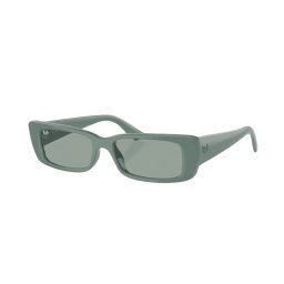 Slnečné okuliare Ray-Ban Teru RB4425 676282