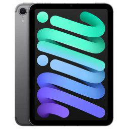 iPad mini Wi-Fi + Cellular 256GB Kozmický sivý (2024) MXPT3HCA