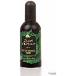 Tesori D' Oriente Tesori d'Oriente Sandalo Del Kashmir & Vetiver parfémovaná voda pánska 100 ml
