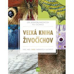 V(Kolektív)