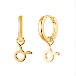 Olivie Strieborné náušnice BÝK GOLD 9588